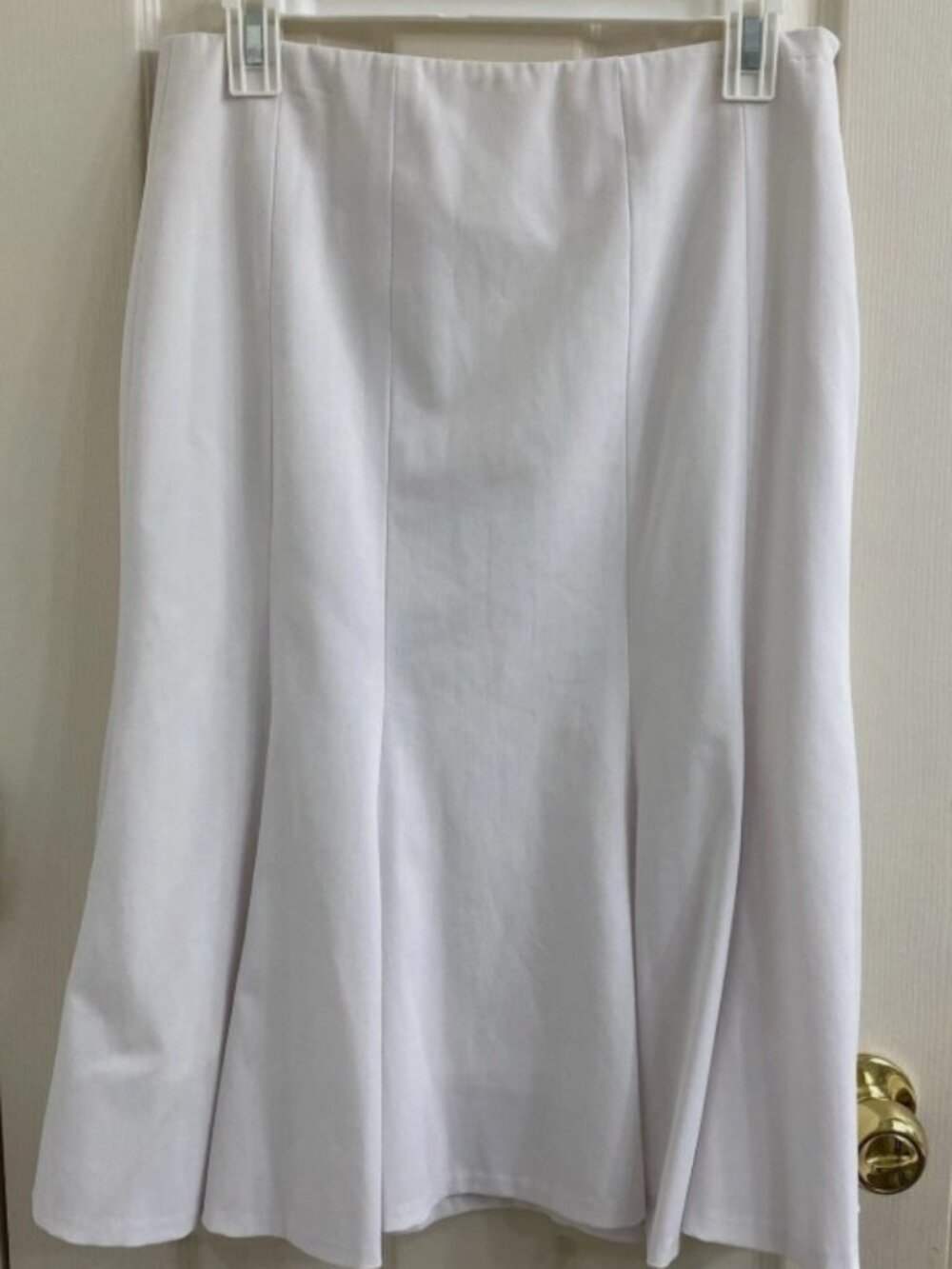 Lena Gabrielle Skirt White Flare Size 10 Petite Lined Side Zipper